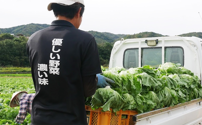 優しい野菜、濃い味